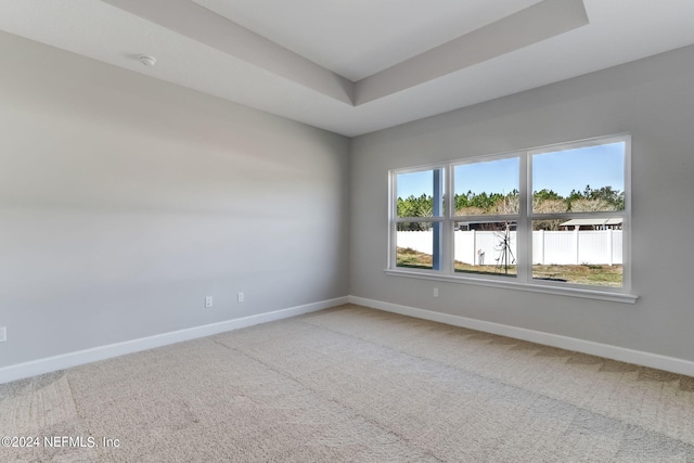 empty room with a tray ceiling, carpet, and a healthy amount of sunlight