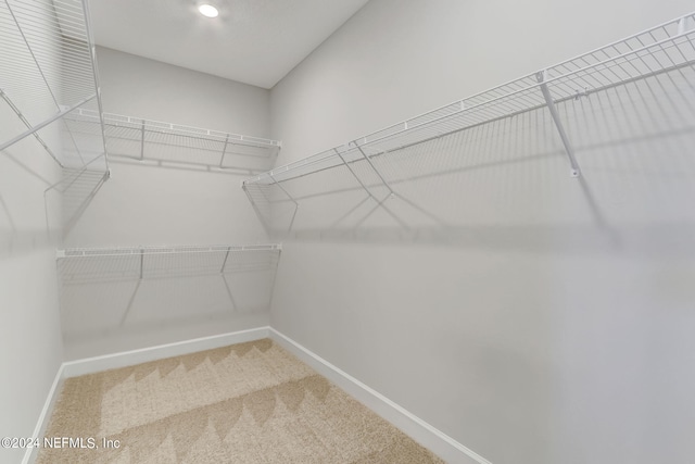 spacious closet with carpet floors