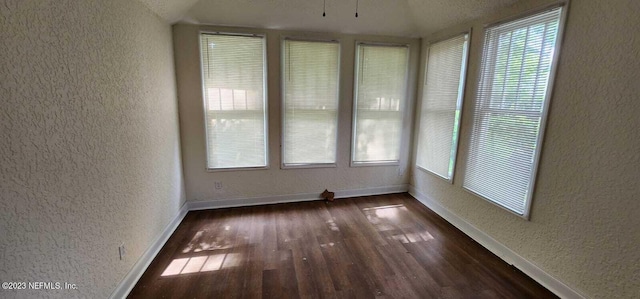 spare room featuring dark wood-type flooring and lofted ceiling