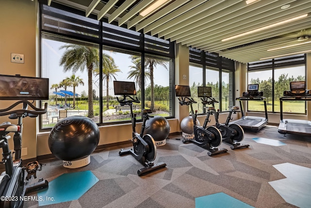 workout area featuring carpet floors