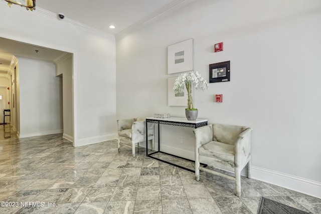 living area featuring crown molding