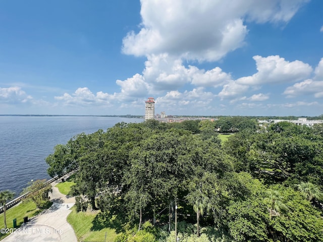 birds eye view of property with a water view