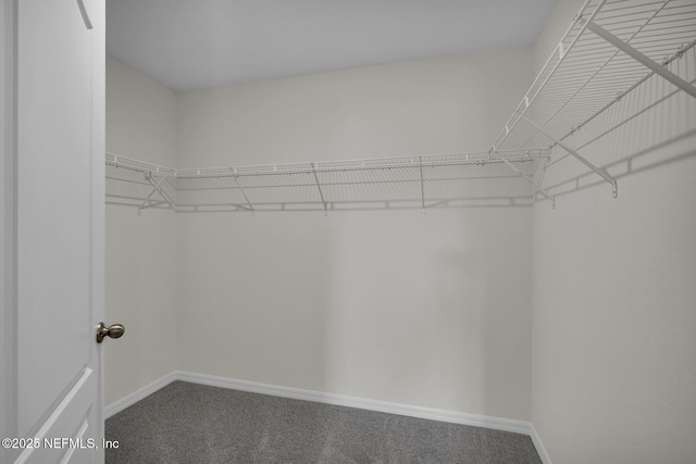 3176 Lowgap Pl, Green Cove Springs, FL 32043 - spacious closet featuring carpet flooring