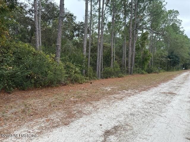 307 Lakeway Dr, Georgetown FL, 32139 land for sale