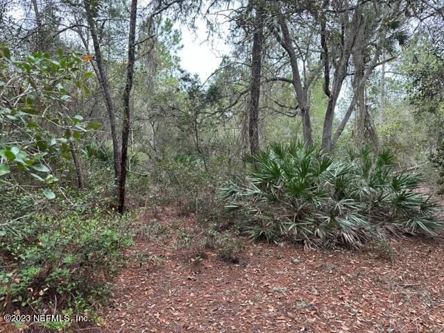 Listing photo 2 for 307 Lakeway Dr, Georgetown FL 32139