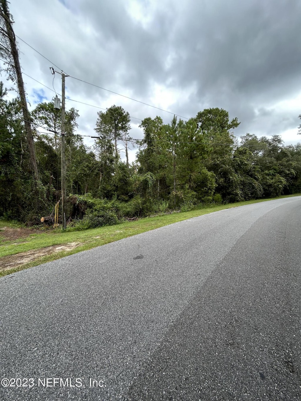 4431 Tarragon Ave, Middleburg, FL 32068