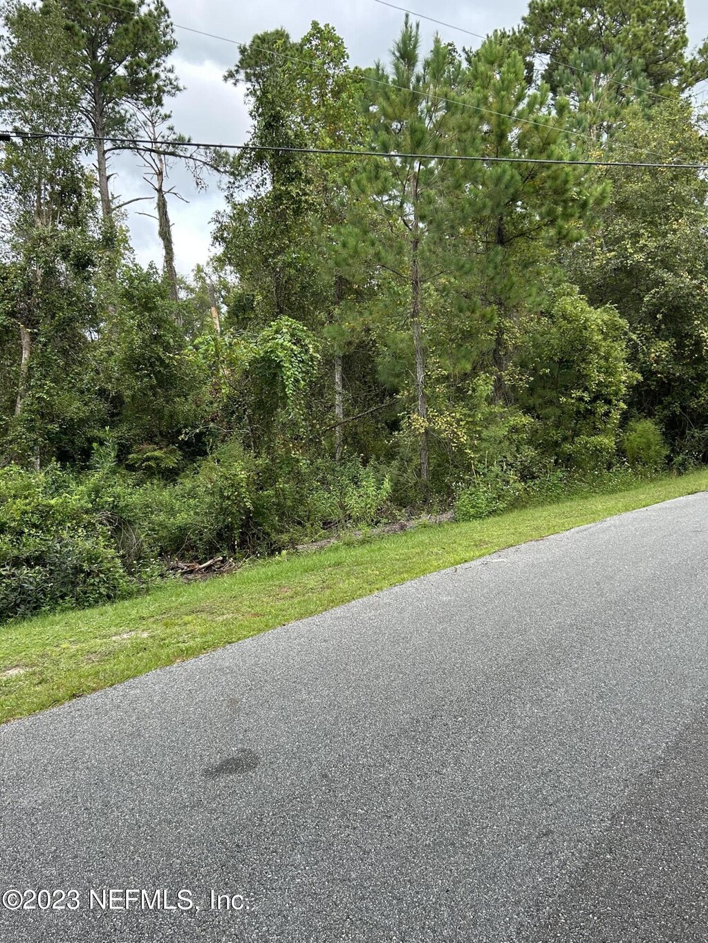 4431 Tarragon Ave, Middleburg, FL 32068
