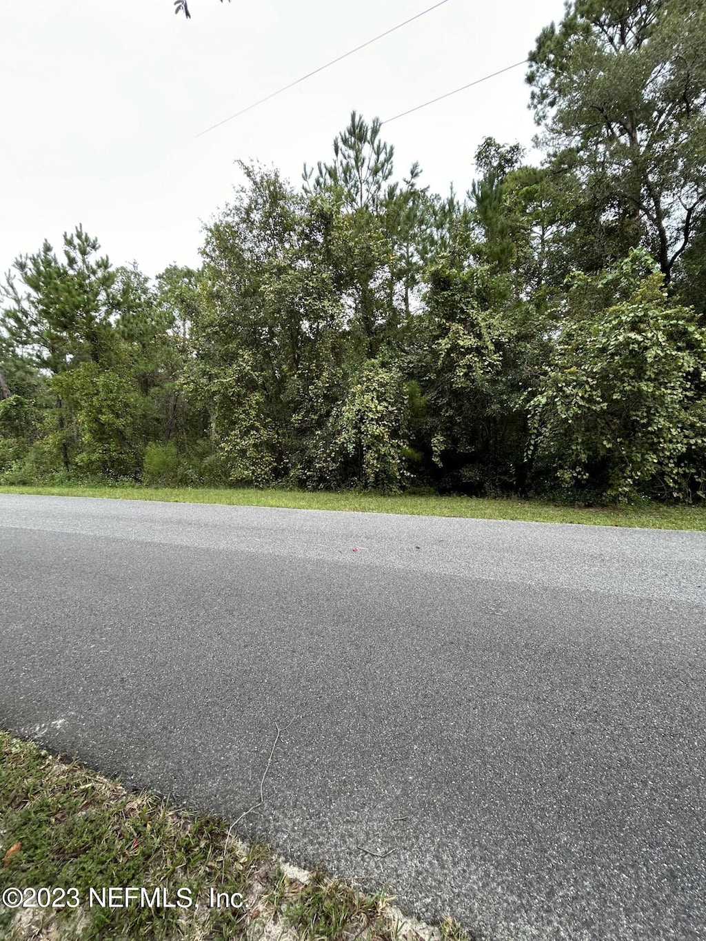 4431 Tarragon Ave, Middleburg, FL 32068