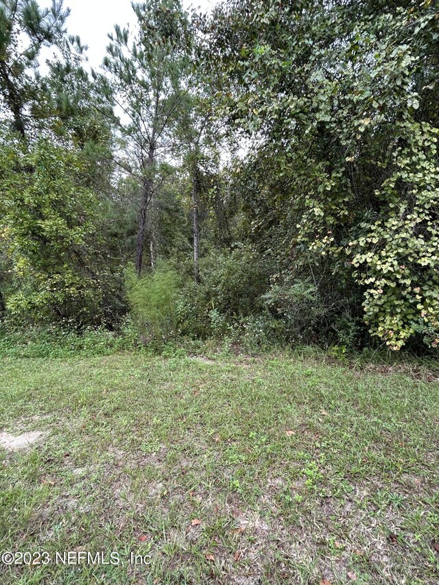 4431 Tarragon Ave, Middleburg, FL 32068