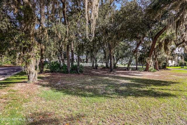 28963 Grandview Mnr, Yulee, FL 32097 - photo 2