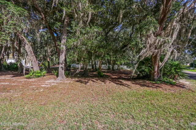28963 Grandview Mnr, Yulee, FL 32097 - photo 3