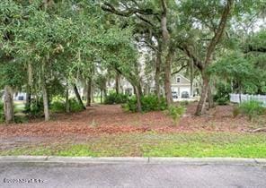 28963 Grandview Mnr, Yulee, FL 32097 - photo 4