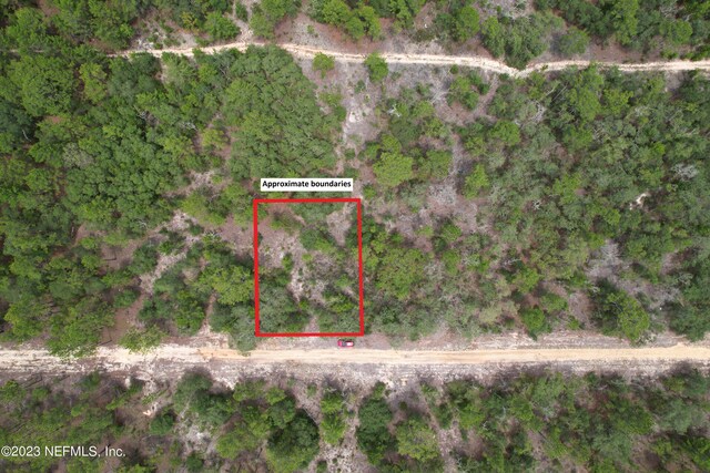 0 SW 57th Ave, Interlachen, FL 32148 - photo 1