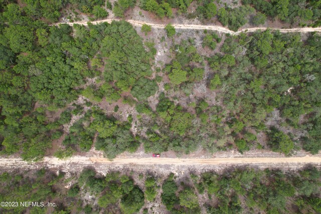 0 SW 57th Ave, Interlachen, FL 32148 - photo 3