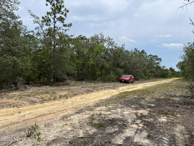 0 SW 57th Ave, Interlachen, FL 32148 - photo 8