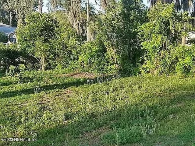 705 Hickory Nut Trl, Satsuma FL, 32189 land for sale