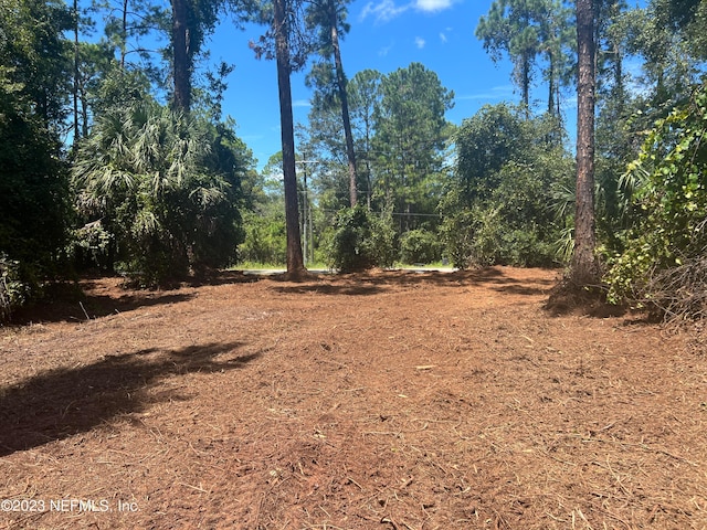 162 Whispering Pines Rd, Georgetown FL, 32139 land for sale