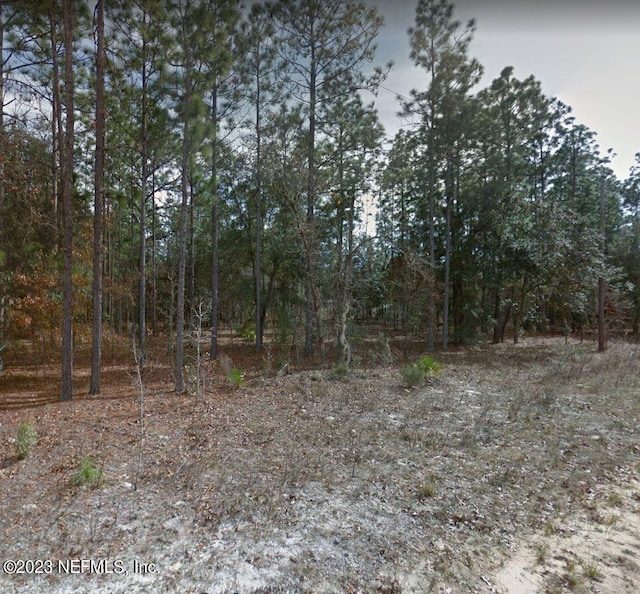 Listing photo 3 for LOT47 River St, Interlachen FL 32148