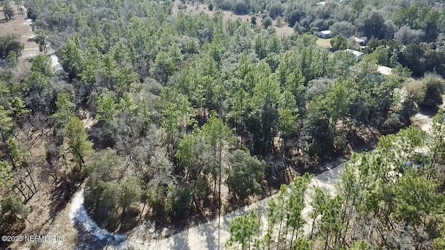 131 Spring Lake Dr, Interlachen FL, 32148 land for sale