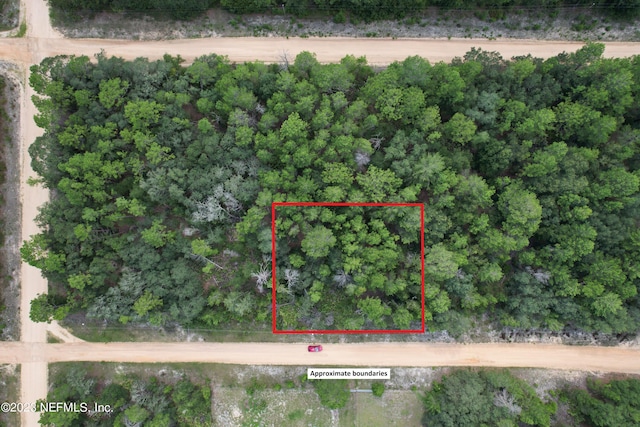 000 Norman Ave, Interlachen FL, 32148 land for sale