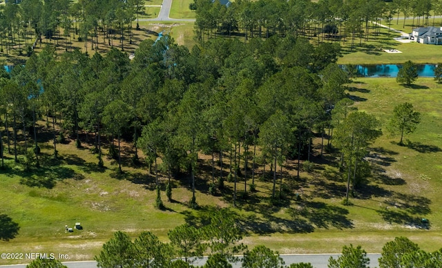11018 Derby Chase Ct, Jacksonville, FL 32219 - photo 2