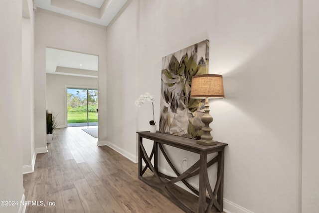 corridor featuring a tray ceiling and hardwood / wood-style flooring