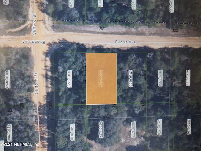 0350 Evans Ave, Interlachen FL, 32148 land for sale