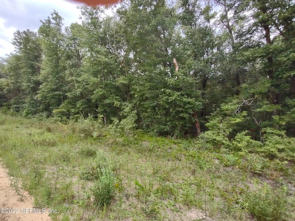 24 Neilsen Ave, Interlachen, FL 32148 - photo 1