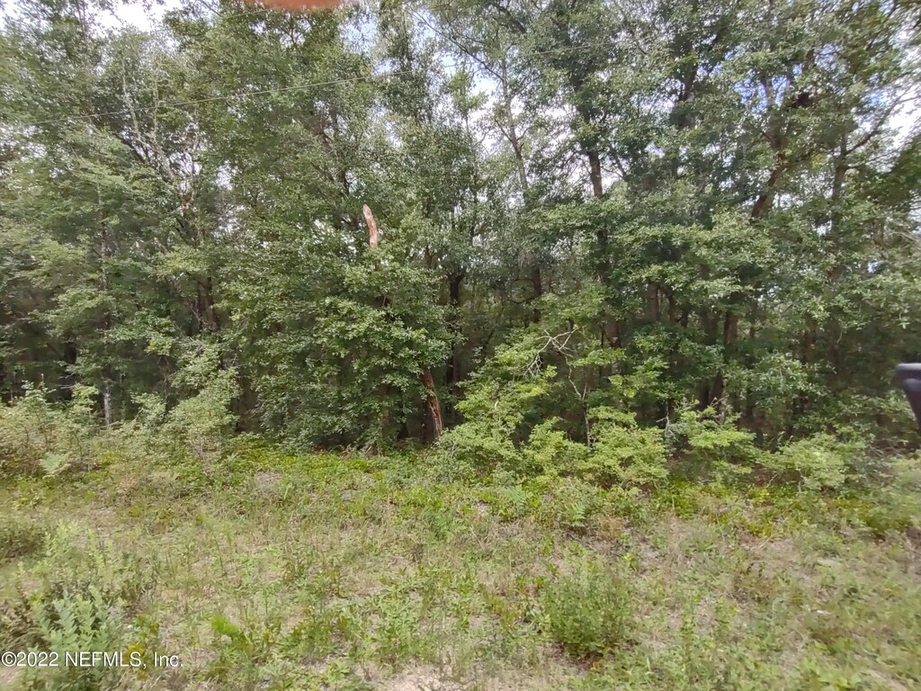 24 Neilsen Ave, Interlachen, FL 32148 - photo 2