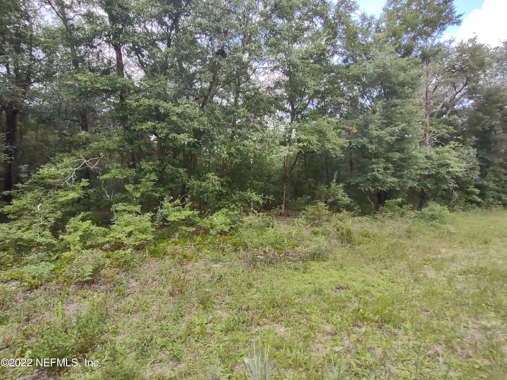 24 Neilsen Ave, Interlachen, FL 32148 - photo 3
