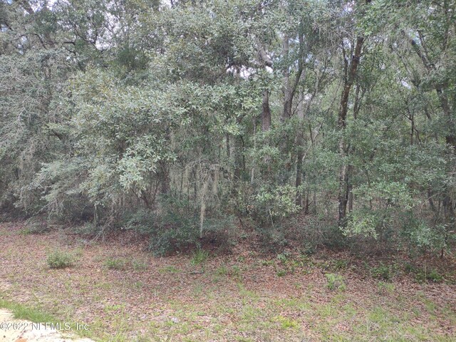 0040 Brett Ave, Interlachen FL, 32148 land for sale