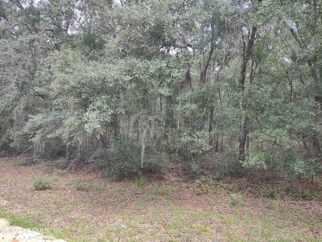 0040 Brett Ave, Interlachen FL, 32148 land for sale