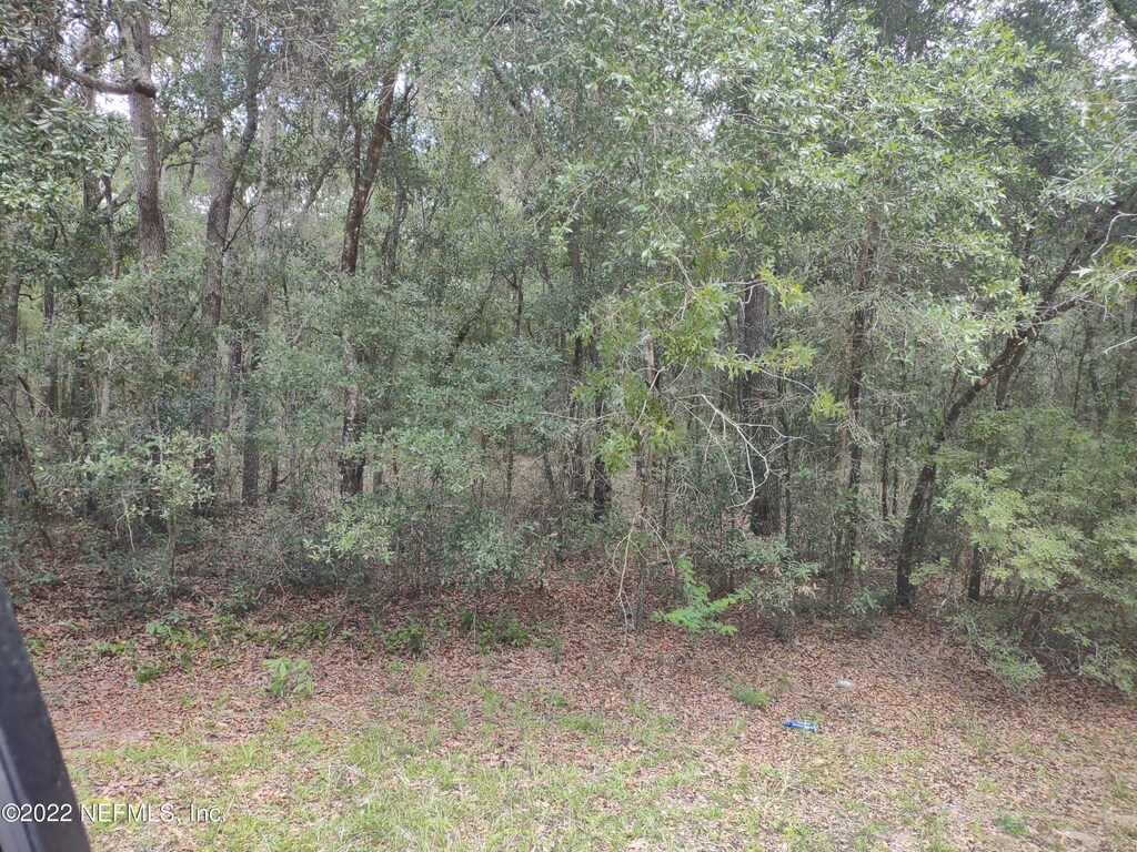 0040 Brett Ave, Interlachen, FL 32148 - photo 3