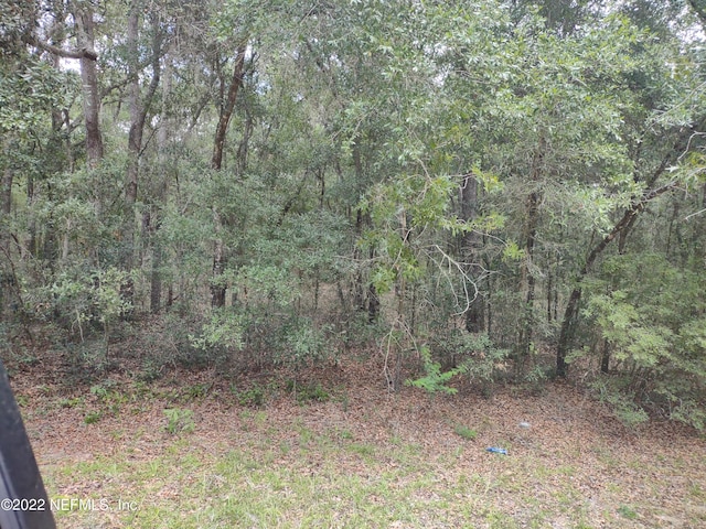 Listing photo 3 for 0040 Brett Ave, Interlachen FL 32148