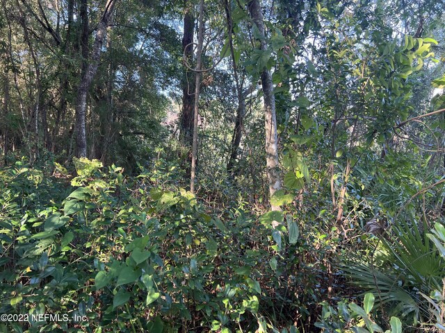 0 Lola Dr, Jacksonville, FL 32210 - photo 5