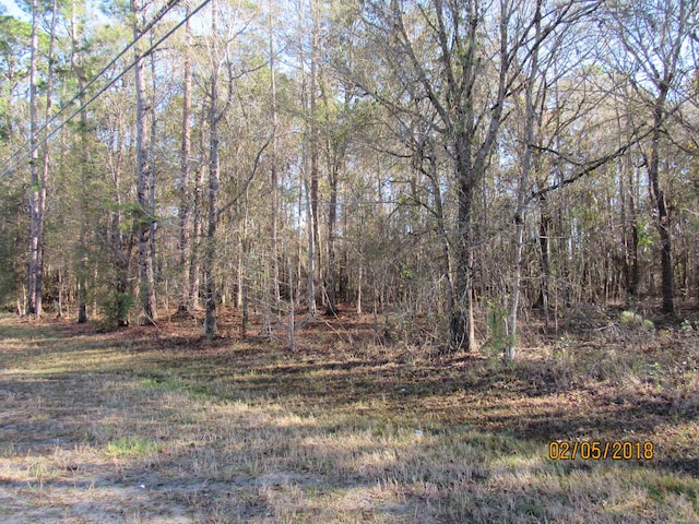 0 County Rd 220, Middleburg, FL 32068 - photo 6