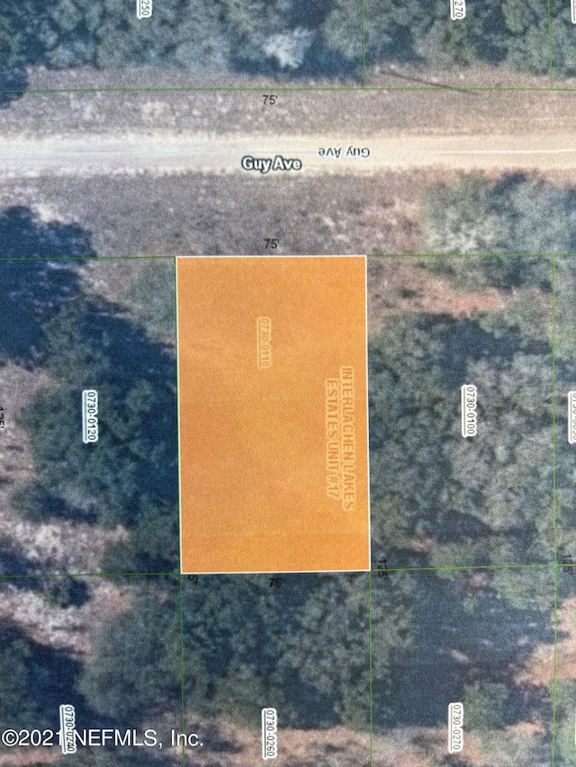 000 Guy Ave, Interlachen FL, 32148 land for sale