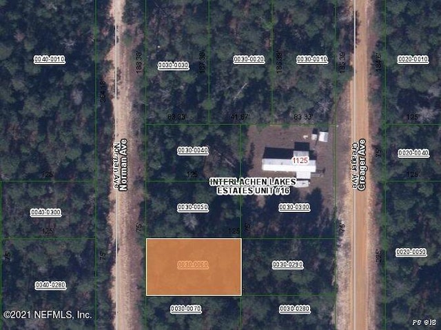 1122 Norman Ave, Interlachen FL, 32148 land for sale