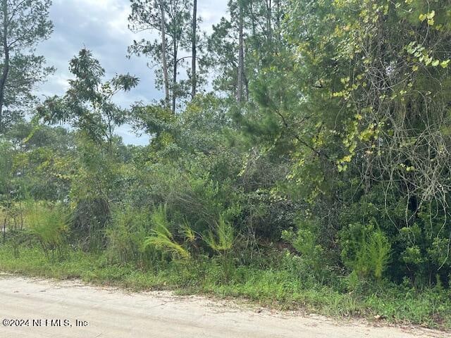 209 Seminole Trl, Georgetown FL, 32139 land for sale