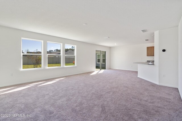 unfurnished living room with light carpet