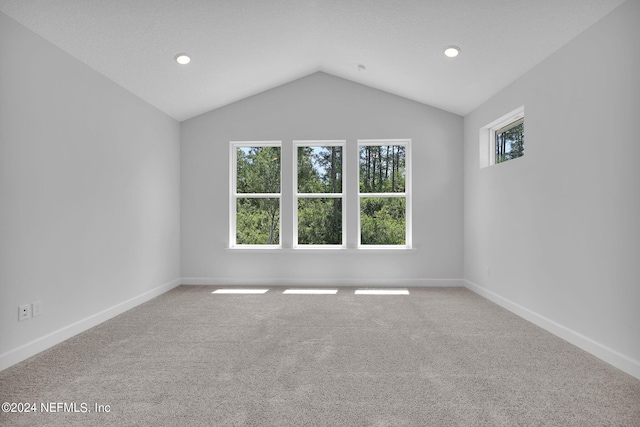 carpeted empty room featuring vaulted ceiling and a healthy amount of sunlight