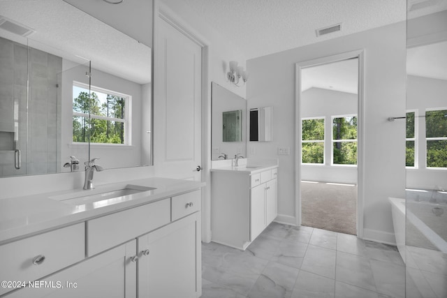 bathroom featuring vanity, plus walk in shower, lofted ceiling, and a wealth of natural light