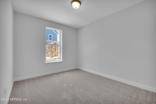 spare room featuring carpet and a textured ceiling