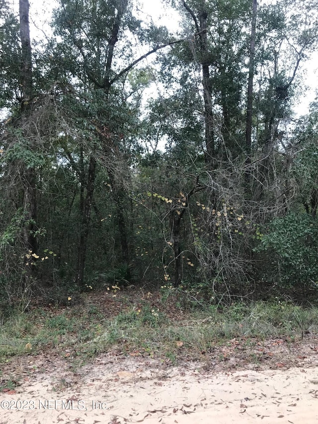 Listing photo 2 for LOT27 Brett Ave, Interlachen FL 32148