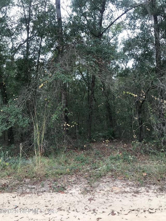 Listing photo 3 for LOT27 Brett Ave, Interlachen FL 32148