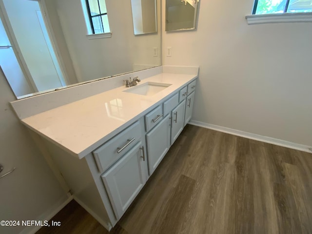 bathroom featuring a wealth of natural light, vanity, and wood-type flooring