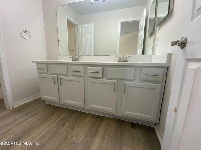 bathroom with vanity and hardwood / wood-style flooring