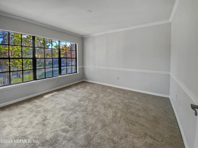 carpeted empty room with crown molding and a wealth of natural light