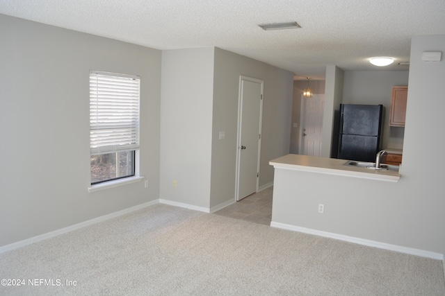 spare room featuring sink, light colored carpet, and a textured ceiling