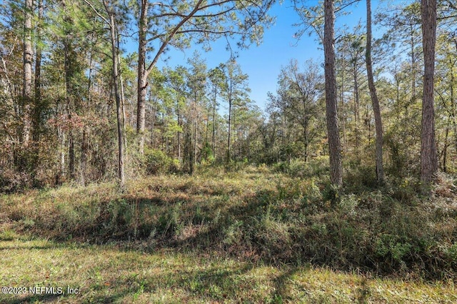 10690 Gregory Ave, Hastings FL, 32145 land for sale